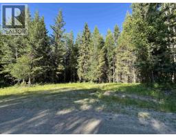 Lot 4 Erb Road, Quesnel, BC V2J6H5 Photo 19