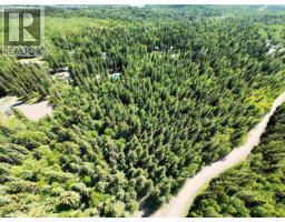 Lot 4 Erb Road, Quesnel, BC V2J6H5 Photo 6
