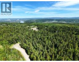 Lot 4 Erb Road, Quesnel, BC V2J6H5 Photo 11