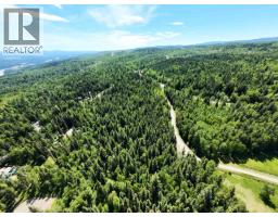 Lot 4 Erb Road, Quesnel, BC V2J6H5 Photo 13