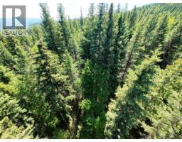 Lot 4 Erb Road, Quesnel, BC V2J6H5 Photo 9