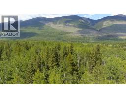 Dl 5314 Horseshoe Lake Road, Mcbride, BC V0J2E0 Photo 14