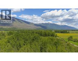 Dl 5314 Horseshoe Lake Road, Mcbride, BC V0J2E0 Photo 15