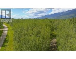 Dl 5314 Horseshoe Lake Road, Mcbride, BC V0J2E0 Photo 11