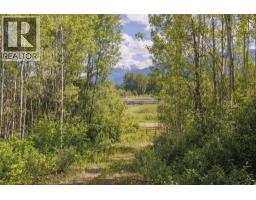 Dl 5314 Horseshoe Lake Road, Mcbride, BC V0J2E0 Photo 8