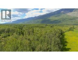 Dl 5314 Horseshoe Lake Road, Mcbride, BC V0J2E0 Photo 17
