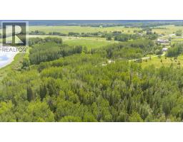 Dl 5314 Horseshoe Lake Road, Mcbride, BC V0J2E0 Photo 23