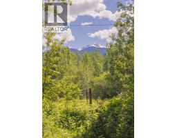 Dl 5314 Horseshoe Lake Road, Mcbride, BC V0J2E0 Photo 9