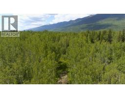 Dl 5314 Horseshoe Lake Road, Mcbride, BC V0J2E0 Photo 12