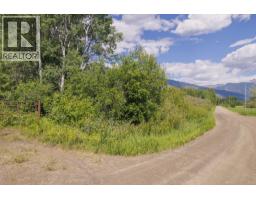 Dl 5314 Horseshoe Lake Road, Mcbride, BC V0J2E0 Photo 10