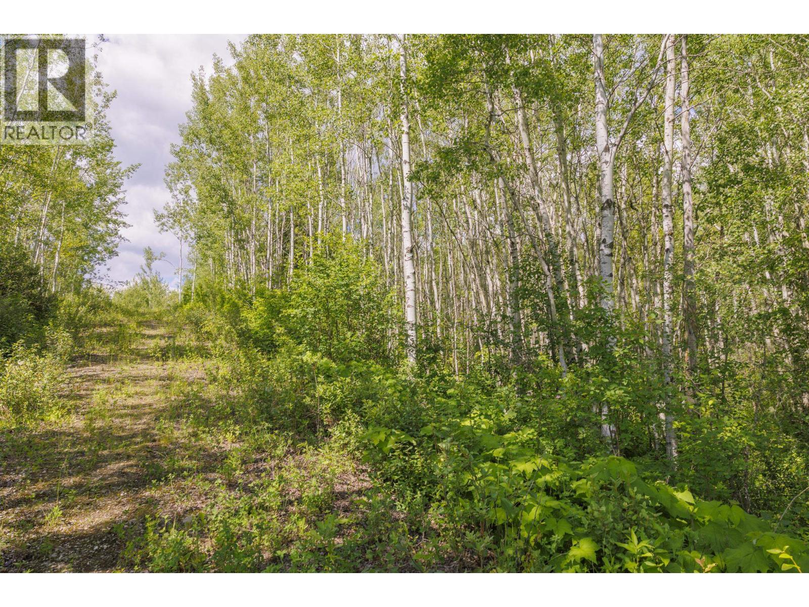 DL 5314 HORSESHOE LAKE ROAD, McBride