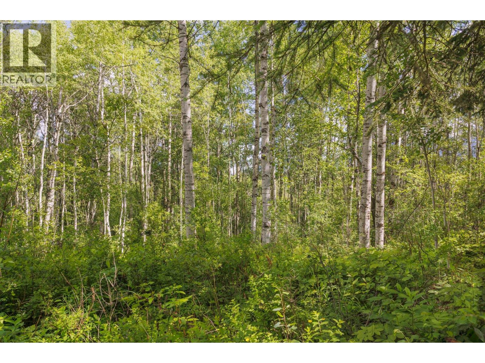 DL 5314 HORSESHOE LAKE ROAD, McBride
