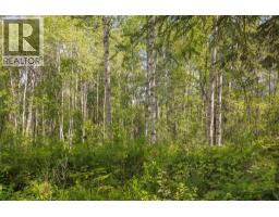 Dl 5314 Horseshoe Lake Road, Mcbride, BC V0J2E0 Photo 7