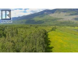 Dl 5314 Horseshoe Lake Road, Mcbride, BC V0J2E0 Photo 16