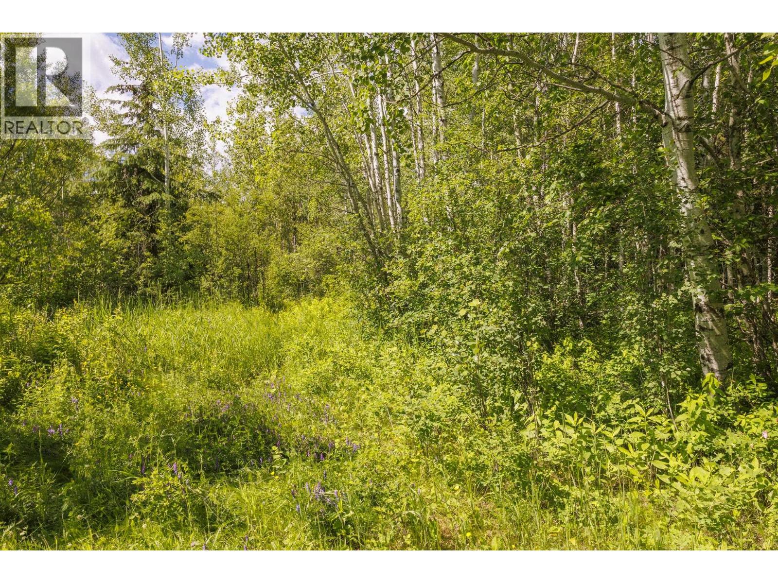 DL 5314 HORSESHOE LAKE ROAD, McBride