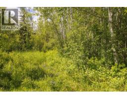 Dl 5314 Horseshoe Lake Road, Mcbride, BC V0J2E0 Photo 6
