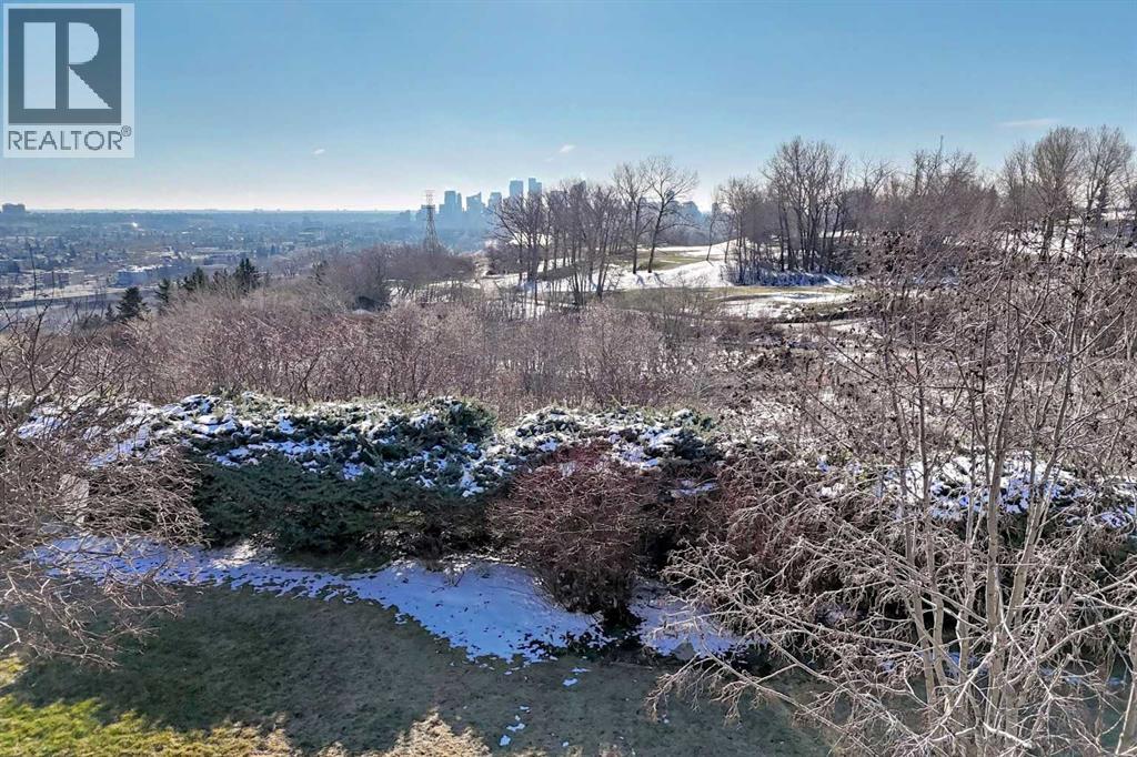 #202 520 Cedar Crescent SW - 46