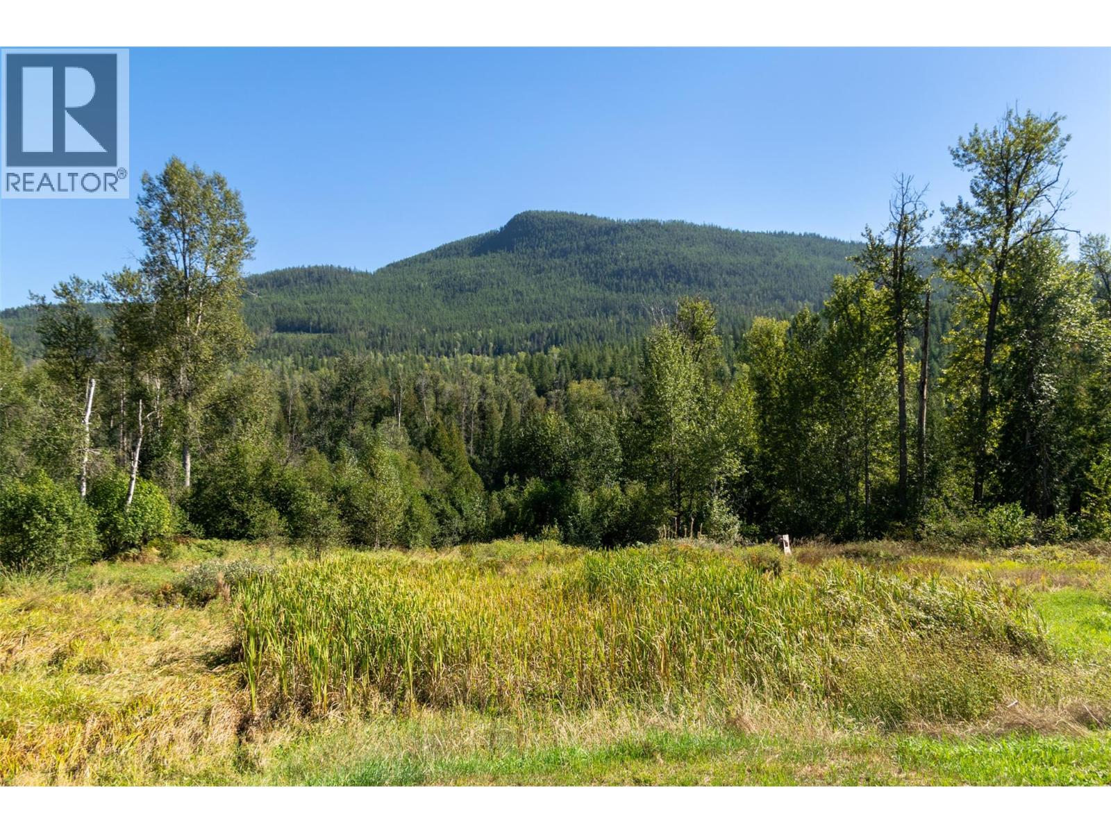 2904 Enderby Mabel Lake Road - 83