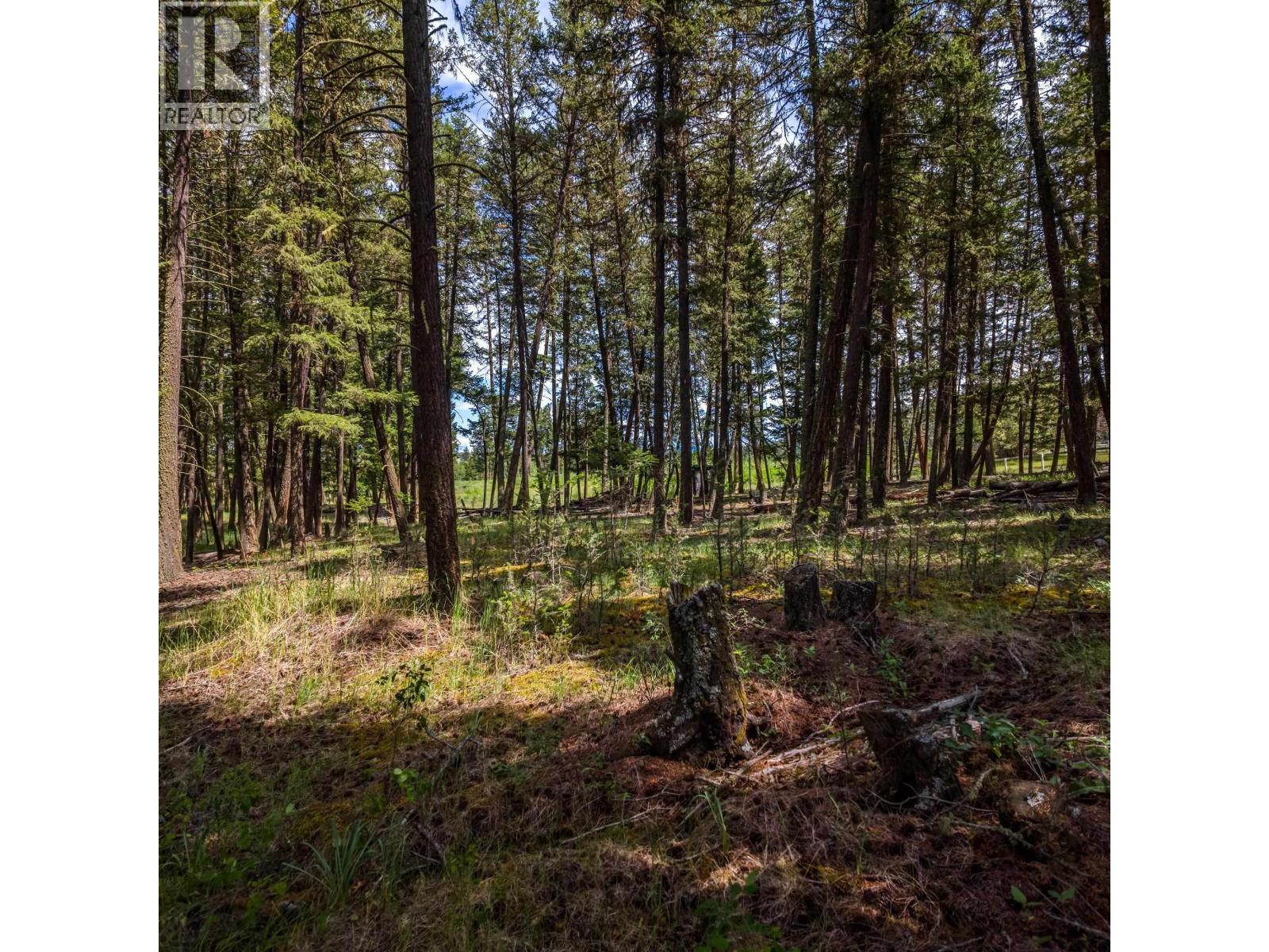 LOT 2 LAC LA HACHE STATION ROAD, Lac La Hache