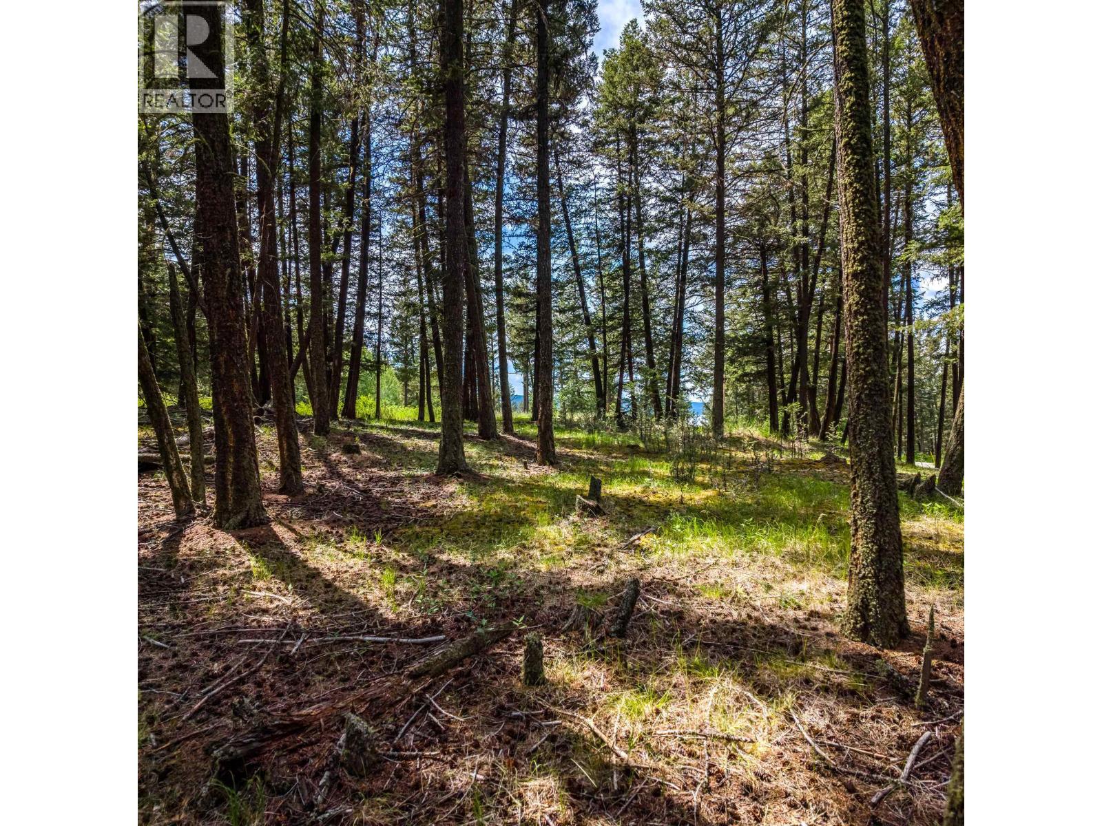 LOT 2 LAC LA HACHE STATION ROAD, Lac La Hache