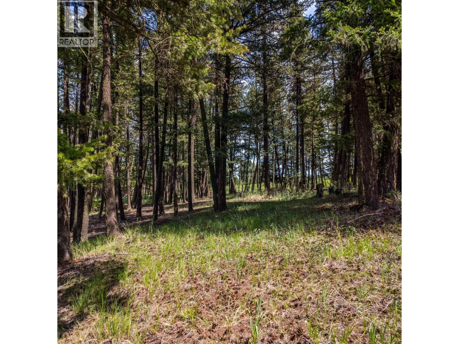 LOT 2 LAC LA HACHE STATION ROAD, Lac La Hache