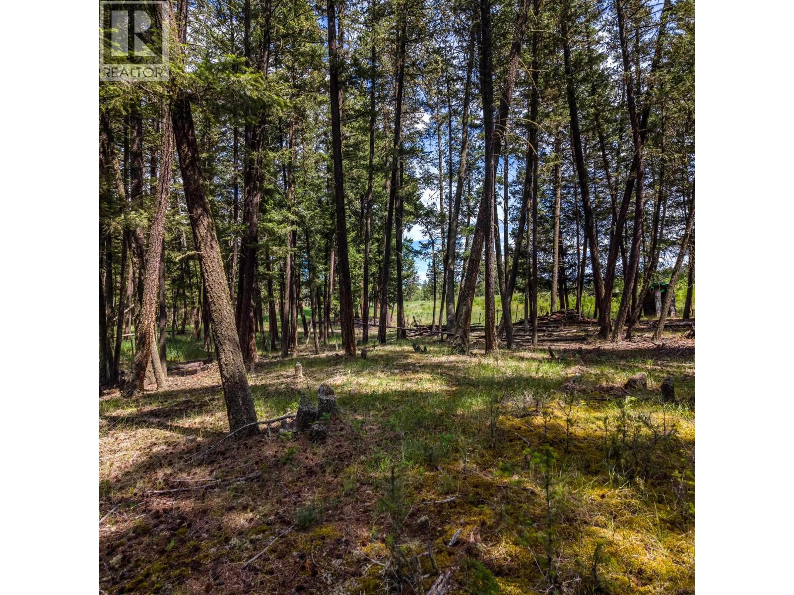 LOT 2 LAC LA HACHE STATION ROAD, Lac La Hache