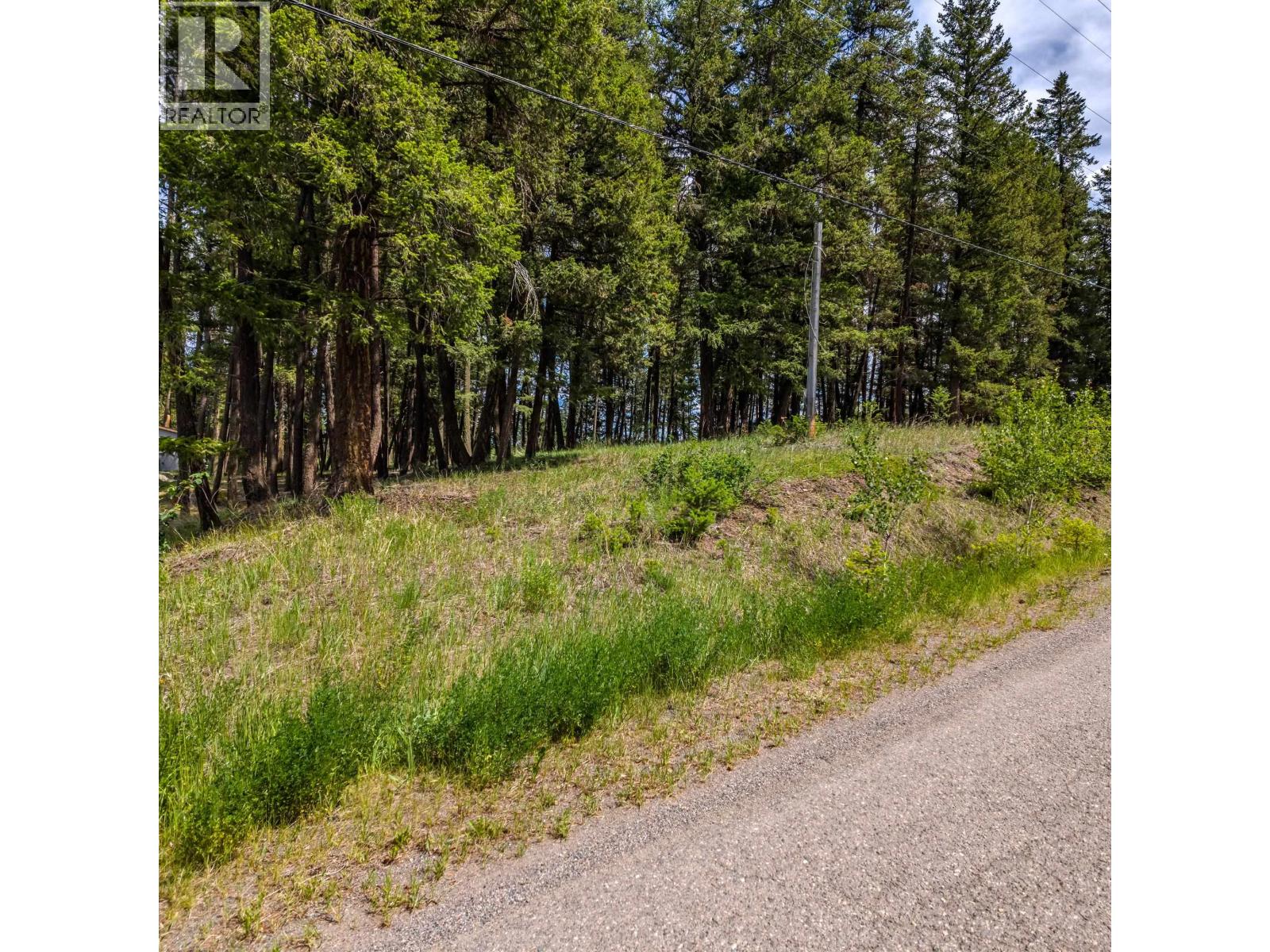 LOT 2 LAC LA HACHE STATION ROAD, Lac La Hache