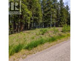 Lot 2 Lac La Hache Station Road, Lac La Hache, BC V0K1T0 Photo 10
