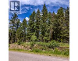 Lot 2 Lac La Hache Station Road, Lac La Hache, BC V0K1T0 Photo 11