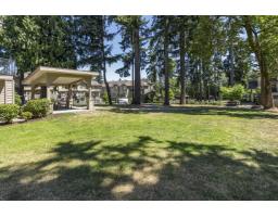 3 5957 152 Street, Surrey, BC V3S3K4 Photo 35
