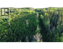24 Inga Lake Road, Wonowon, BC V0C2N0 Photo 8