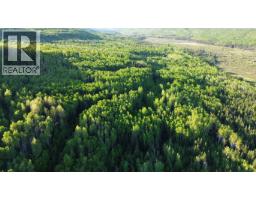 24 Inga Lake Road, Wonowon, BC V0C2N0 Photo 14