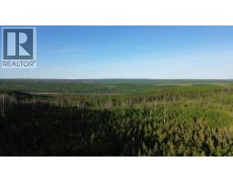 24 Inga Lake Road, Wonowon, BC V0C2N0 Photo 7