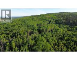24 Inga Lake Road, Wonowon, BC V0C2N0 Photo 9