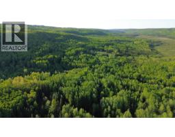 24 Inga Lake Road, Wonowon, BC V0C2N0 Photo 19