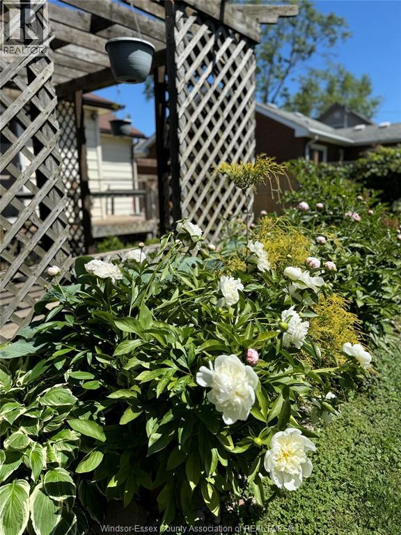2163 WELLESLEY AVENUE - 38