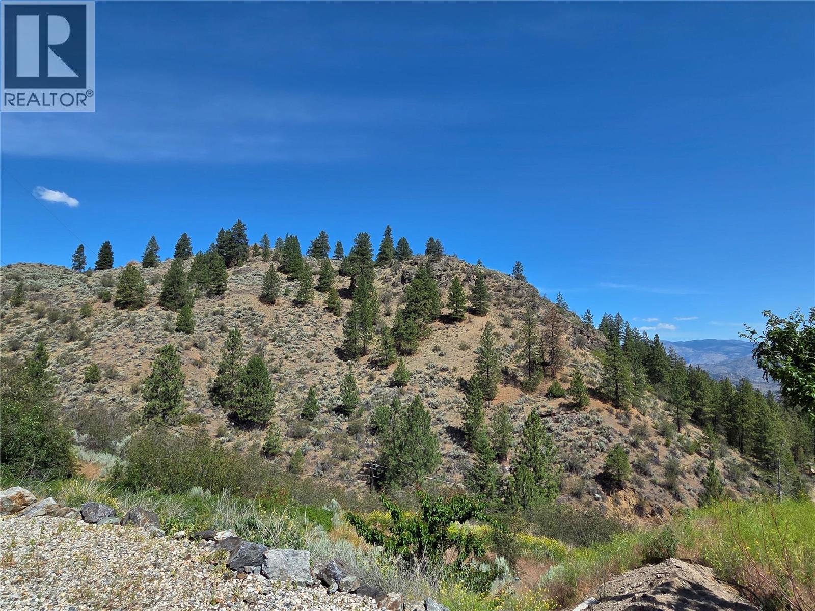 15341 Old Richter Pass Road - 32