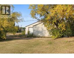 5019 52 Avenue, Viking, AB T0B4N0 Photo 17