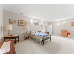 13308 155 Av Nw, Edmonton, AB T6V1G4 Photo 38