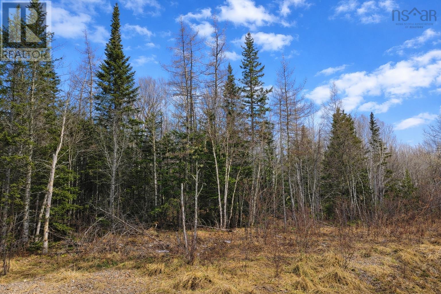 Property 8 of 16 of Lot 23 Lower River Road, Grantville