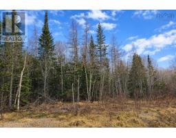 Lot 23 Lower River Road, Grantville, Grantville, NS B0E1J0 Photo 8