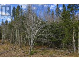 Lot 23 Lower River Road, Grantville, Grantville, NS B0E1J0 Photo 15
