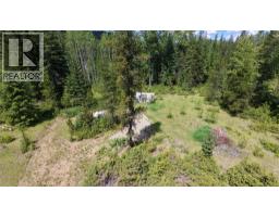 Barnes Creek Forest Service Road Lot# 34, Needles, BC V0G1J0 Photo 15