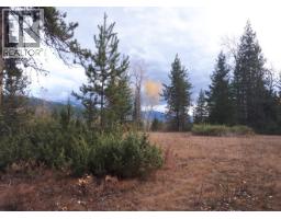 Barnes Creek Forest Service Road Lot# 34, Needles, BC V0G1J0 Photo 19