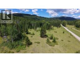 Barnes Creek Forest Service Road Lot# 34, Needles, BC V0G1J0 Photo 6