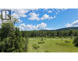 Barnes Creek Forest Service Road Lot# 34, Needles, BC V0G1J0 Photo 12