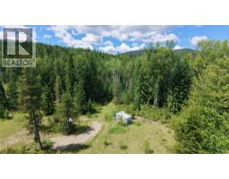 Barnes Creek Forest Service Road Lot# 34, Needles, BC V0G1J0 Photo 18