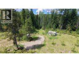Barnes Creek Forest Service Road Lot# 34, Needles, BC V0G1J0 Photo 13