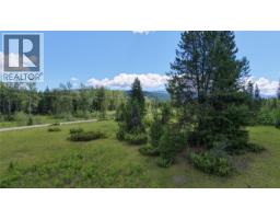 Barnes Creek Forest Service Road Lot# 34, Needles, BC V0G1J0 Photo 8