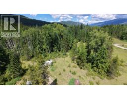 Barnes Creek Forest Service Road Lot# 34, Needles, BC V0G1J0 Photo 14
